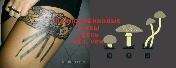 дживик Липки