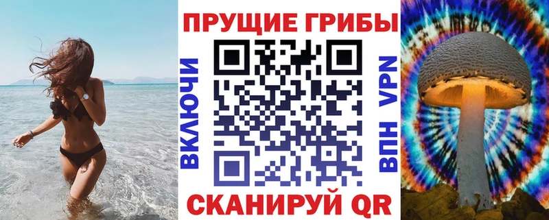 закладка  kraken зеркало  Псилоцибиновые грибы Psilocybe  Поворино 